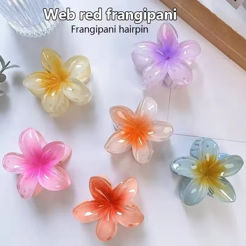  Bohemia Large Flower Acrylic - Women'S Accessories Accessorize ulasan dan harga